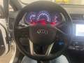 Kia Rio 1.1 CRDi Active Collection E6 Bianco - thumbnail 15