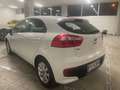 Kia Rio 1.1 CRDi Active Collection E6 Bianco - thumbnail 4