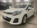 Kia Rio 1.1 CRDi Active Collection E6 Bianco - thumbnail 6