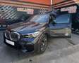 BMW X5 xDrive 30dA Grau - thumbnail 9