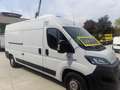 Fiat Ducato 35 3.0 CNG FRIGO FRCX L3H2 Bianco - thumbnail 2