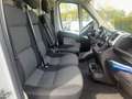 Fiat Ducato 35 3.0 CNG FRIGO FRCX L3H2 Bianco - thumbnail 3