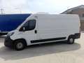 Fiat Ducato 35 3.0 CNG FRIGO FRCX L3H2 Bianco - thumbnail 1