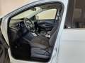 Ford Kuga Kuga 2.0 TDCI 140 CV 4WD Titanium Blanc - thumbnail 7