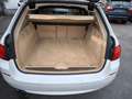 BMW 528 i xDrive Leder-Panorama-Bi-Xenon-Navi Weiß - thumbnail 13