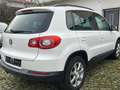 Volkswagen Tiguan Trend Weiß - thumbnail 6