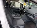 Ford Grand C-Max 1.0 Titanium 7p. Camera Bijgeluid motor !!! Wit - thumbnail 18
