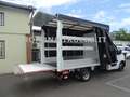 Renault Master 145CV CENTINA E TELO + SPONDA IN ARRIVO Bianco - thumbnail 12