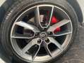 Skoda Octavia Octavia 2.0 tdi RS dsg Bianco - thumbnail 10