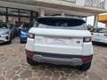 Land Rover Range Rover Evoque Range Rover Evoque 5p 2.2 td4 Launch edition 150cv Bianco - thumbnail 6