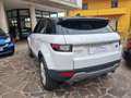 Land Rover Range Rover Evoque Range Rover Evoque 5p 2.2 td4 Launch edition 150cv Bianco - thumbnail 7
