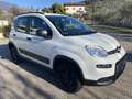 Fiat Panda Wild 85cv Turbo 4x4 - Solo 20ooo Km !!! Blanc - thumbnail 2