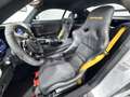 Mercedes-Benz AMG GT GT-R AMG - Kit Estetico Argento - thumbnail 10