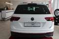 Volkswagen Tiguan 1.5 TSI Life*PANO/AHK/KAMERA* Bianco - thumbnail 3