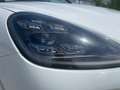 Porsche Cayenne Cayenne III E-Hybrid Weiß - thumbnail 8