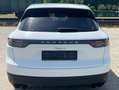 Porsche Cayenne Cayenne III E-Hybrid Weiß - thumbnail 4