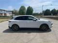 Porsche Cayenne Cayenne III E-Hybrid Weiß - thumbnail 6