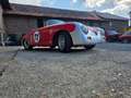 Volkswagen Käfer Apal Speedster Cabrio Racing Vintage PGO Chamonix - thumbnail 9