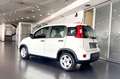 Fiat Panda 1.0 FireFly S&S Hybrid Blanco - thumbnail 5