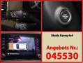 Skoda Karoq 2,0 TDI Style 4x4 *18Z LED Amundsen Blau - thumbnail 15