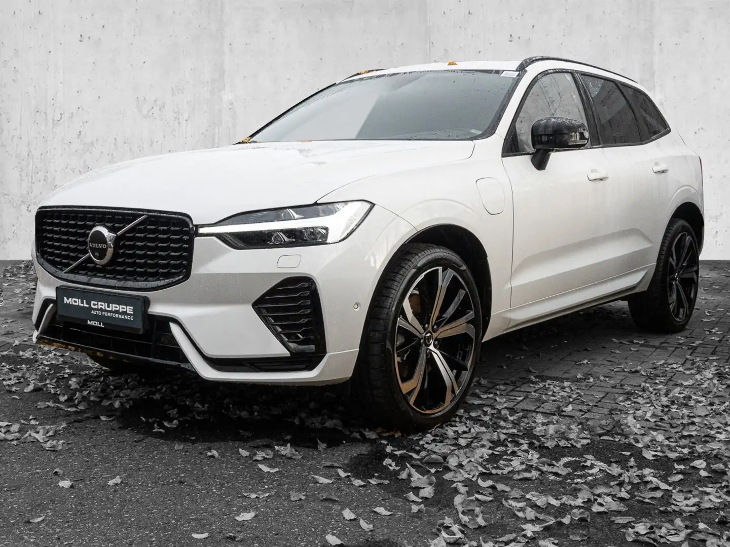 Volvo XC60 T6 Twin Engine AWD R Design Plug-In Pano 360Grad S Weiß - 2