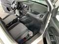 Fiat Doblo Doblo Kasten 1.3 JTD Weiß - thumbnail 10