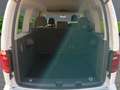 Volkswagen Caddy 1.4 TSI+Standheizung+Bi-Xenon Scheinwerfer+Abstand Weiß - thumbnail 5