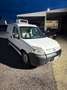 Citroen Berlingo 2.0hdi 90cv FRIGO Bianco - thumbnail 1