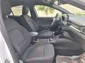 Ford Focus ST-LINE 1.5 DIESEL120cv NAV Blanc - thumbnail 12