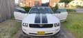 Ford Mustang 4.0 V6 Wit - thumbnail 1