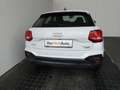 Audi Q2 35 TDI quattro admired Weiß - thumbnail 20