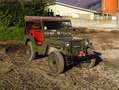 Jeep Willys m38 MK1 Verde - thumbnail 14