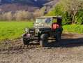 Jeep Willys m38 MK1 Verde - thumbnail 2