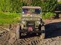 Jeep Willys m38 MK1 Zelená - thumbnail 15