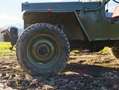 Jeep Willys m38 MK1 Verde - thumbnail 11