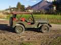 Jeep Willys m38 MK1 Verde - thumbnail 7