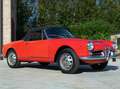 Alfa Romeo Giulia Spider Rojo - thumbnail 28