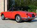 Alfa Romeo Giulia Spider Rojo - thumbnail 40