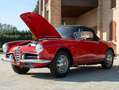 Alfa Romeo Giulia Spider Rosso - thumbnail 9