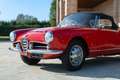 Alfa Romeo Giulia Spider Rojo - thumbnail 34
