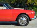 Alfa Romeo Giulia Spider Rojo - thumbnail 26
