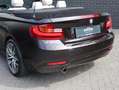 BMW 218 2-serie Cabrio 218i High Executive Automaat / Navi Marrone - thumbnail 12