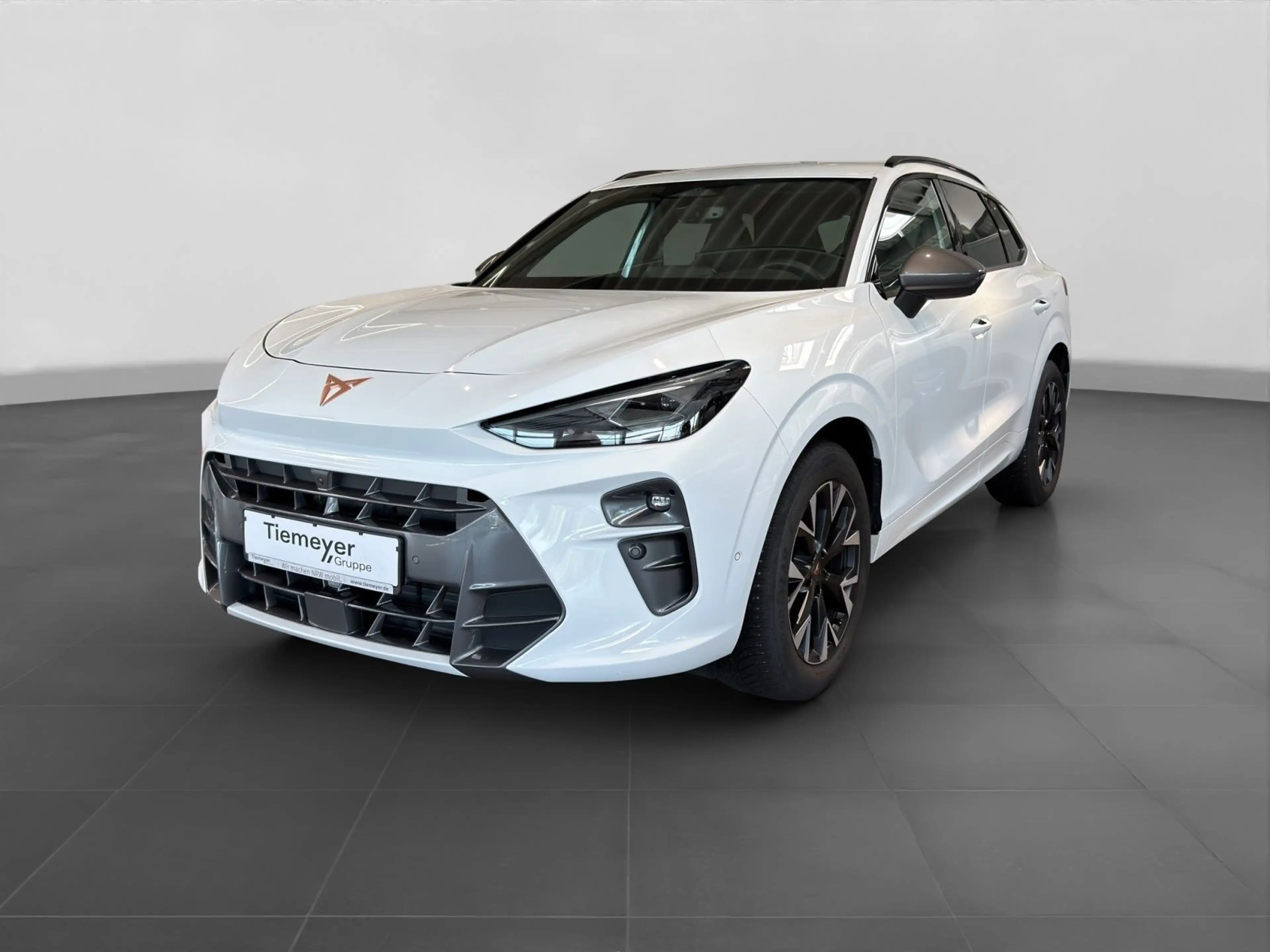 CUPRA Terramar 1.5 eTSI HEAD-UP 360° eSITZE NAVI — photo 2