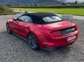 Ford Mustang 2,3 EcoBoost Cabrio Aut. Rot - thumbnail 7