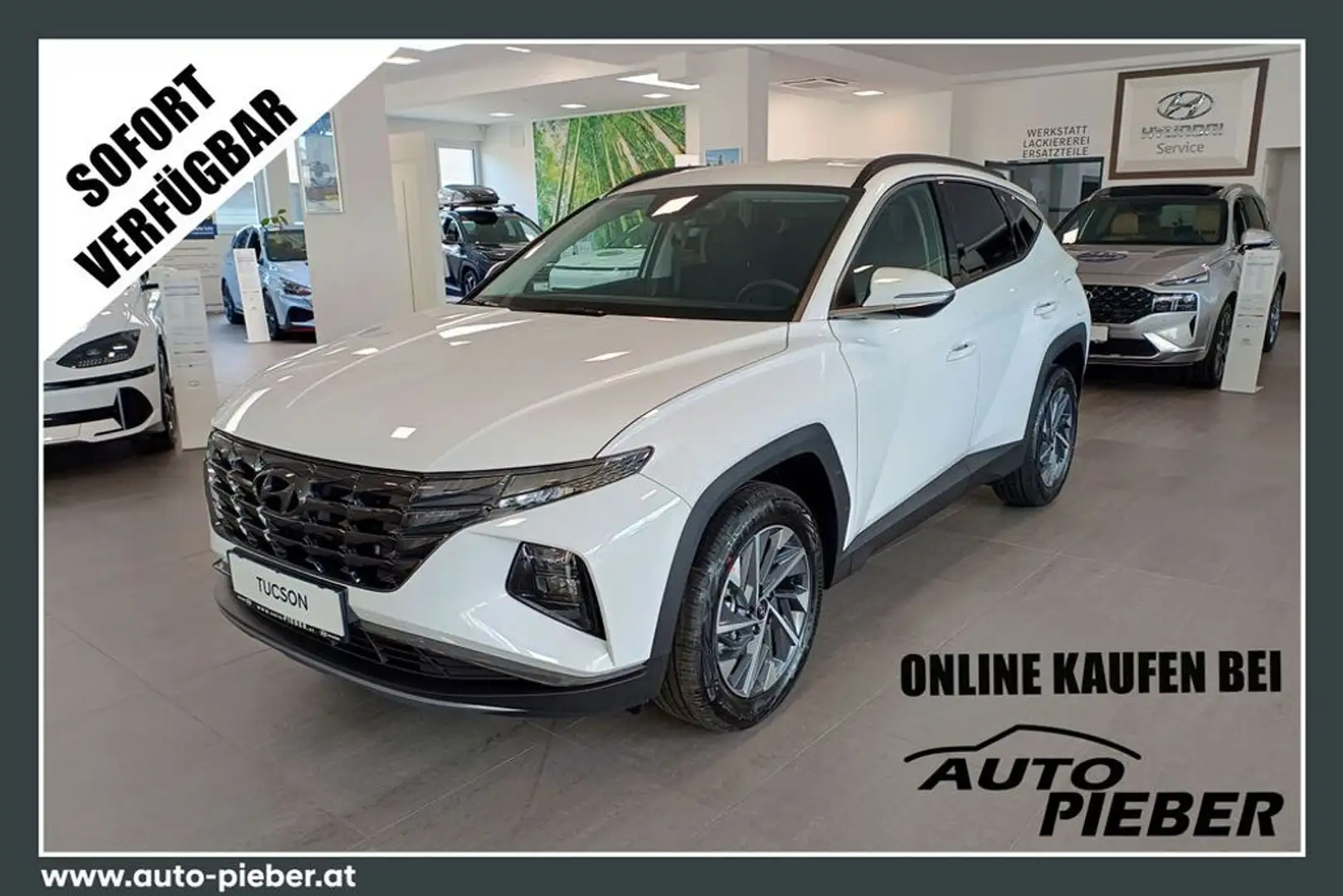 Hyundai TUCSON 1,6 T-GDI 2WD Smart Line *LED* *18 Zoll* Bianco - 1