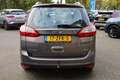 Ford Grand C-Max 1.6 EcoBoost Lease Titanium TREKHAAK CAMERA VOORUI Bruin - thumbnail 16