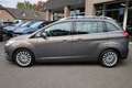 Ford Grand C-Max 1.6 EcoBoost Lease Titanium TREKHAAK CAMERA VOORUI Bruin - thumbnail 18