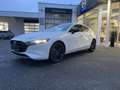 Mazda 3 Mazda3 5HB 2.5L e-SKYACTIV G 140ps 6MT 2WD HOMURA Weiß - thumbnail 6