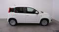 Fiat Panda 0.9 TwinAir Lounge Blanc - thumbnail 5