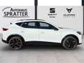 CUPRA Formentor VZ 2.0 TSI DSG 4Drive ACC AHK Pano Weiß - thumbnail 24